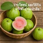 หงเป่าสือ แปลว่า